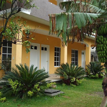 Posada Los Robles Tepoztlán Eksteriør bilde