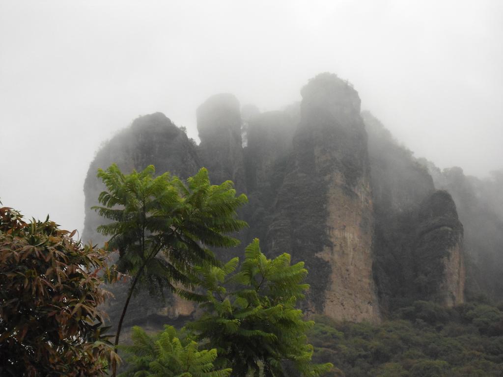 Posada Los Robles Tepoztlán Eksteriør bilde
